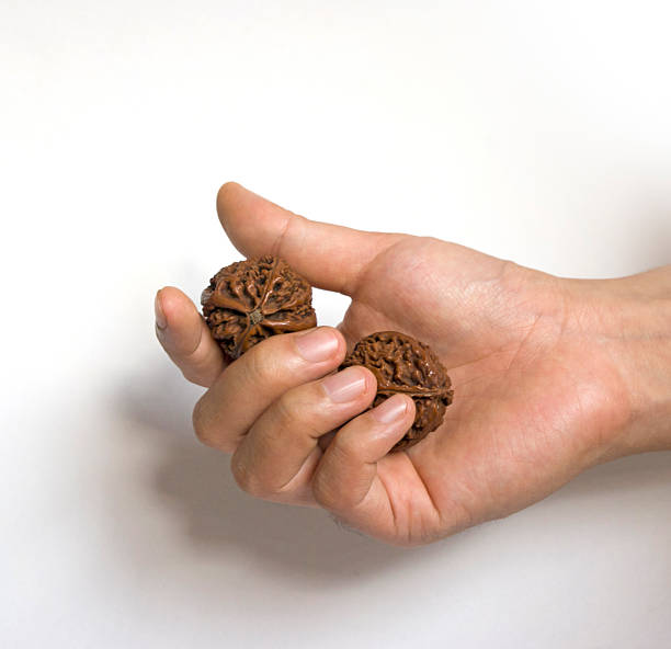 Why Should You Really Care About Getting a Certified Rudraksha in Sahakara Nagar? Certified Rudraksha in Sahakara Nagar