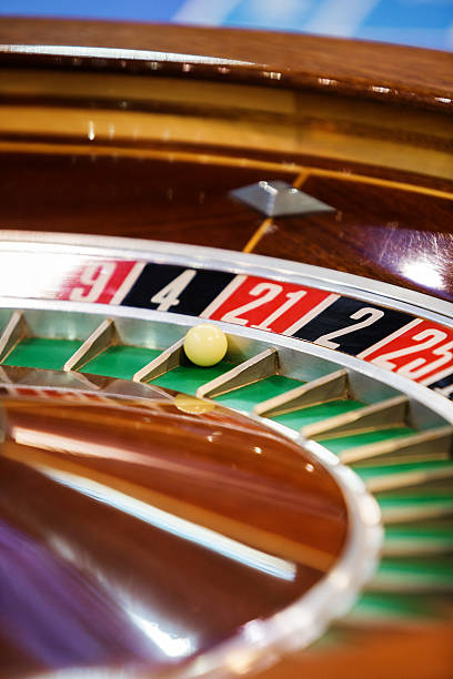 Betting on Cricket Tournaments: How 99Exch Covers IPL, World Cups and More 99exch.org